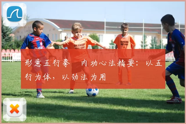 形意五行拳・内功心法精要：以五行为体，以劲法为用