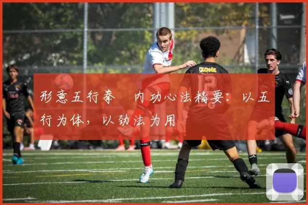 形意五行拳・内功心法精要：以五行为体，以劲法为用