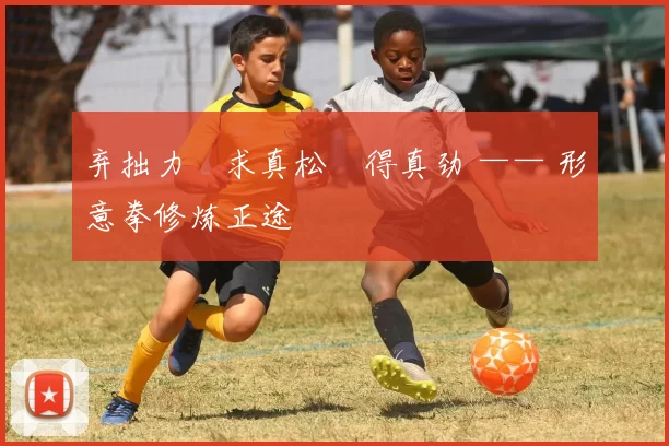 弃拙力・求真松・得真劲 —— 形意拳修炼正途