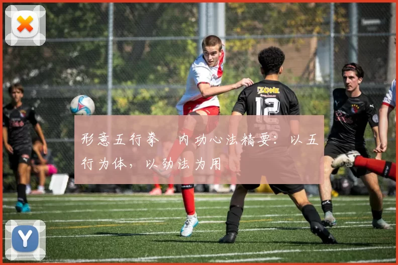 形意五行拳・内功心法精要：以五行为体，以劲法为用