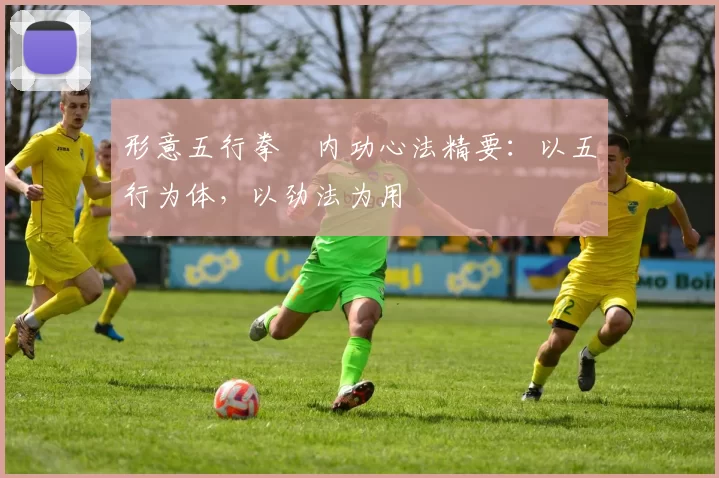 形意五行拳・内功心法精要:以五行为体,以劲法为用