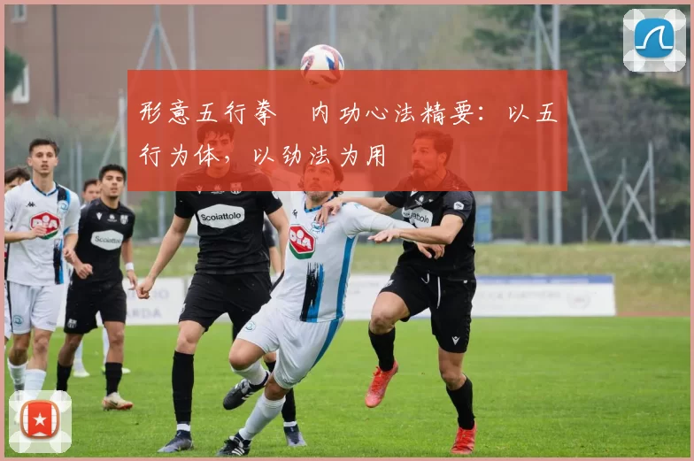 形意五行拳・内功心法精要:以五行为体,以劲法为用