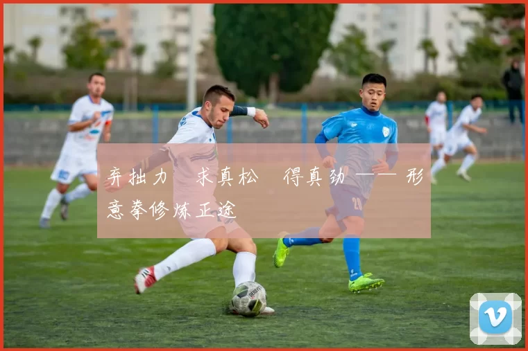 弃拙力・求真松・得真劲 —— 形意拳修炼正途