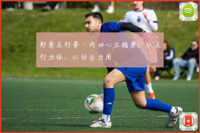 形意五行拳・内功心法精要:以五行为体,以劲法为用