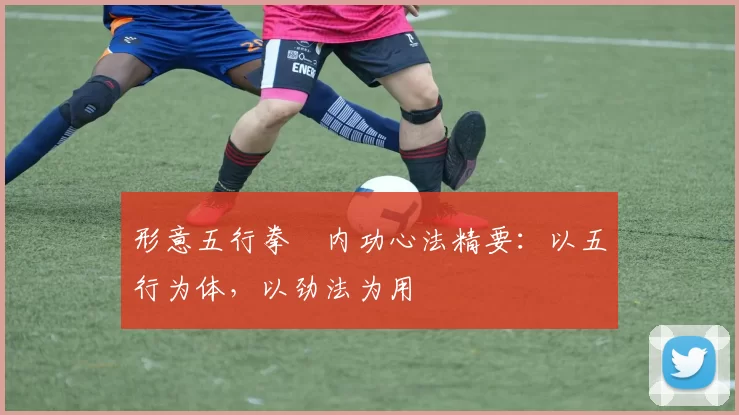 形意五行拳・内功心法精要：以五行为体，以劲法为用