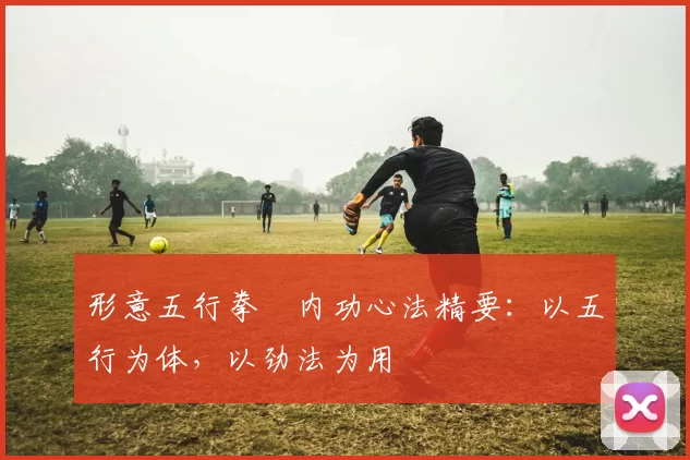 形意五行拳・内功心法精要：以五行为体，以劲法为用