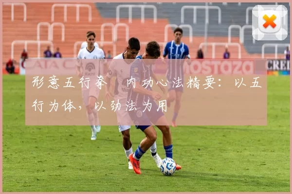 形意五行拳・内功心法精要：以五行为体，以劲法为用