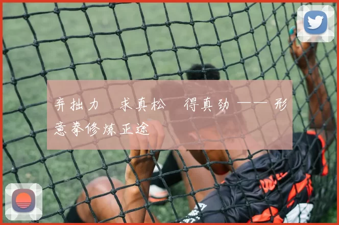 弃拙力・求真松・得真劲 —— 形意拳修炼正途