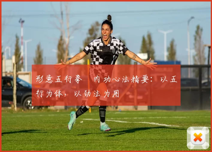 形意五行拳・内功心法精要:以五行为体,以劲法为用