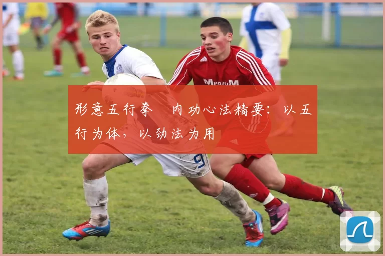 形意五行拳・内功心法精要：以五行为体，以劲法为用