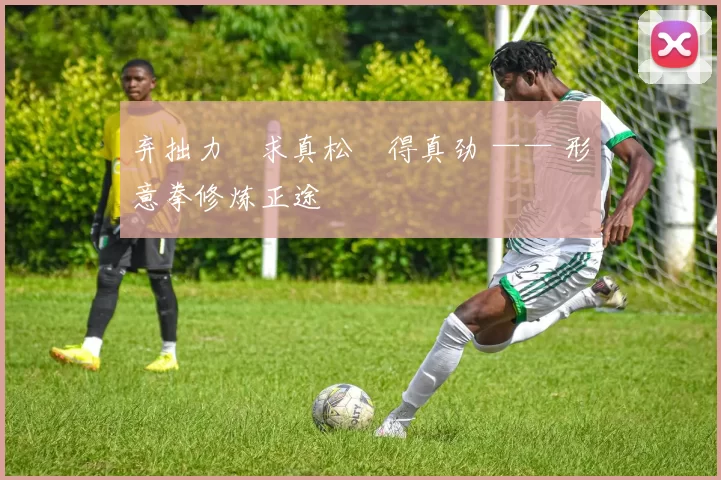 弃拙力・求真松・得真劲 —— 形意拳修炼正途