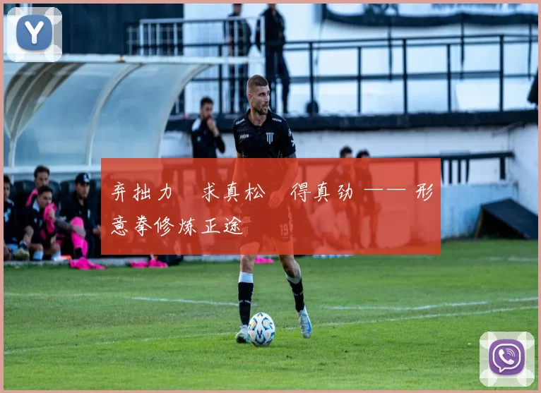 弃拙力・求真松・得真劲 —— 形意拳修炼正途