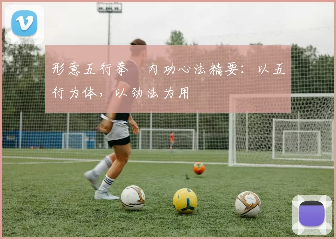 形意五行拳・内功心法精要:以五行为体,以劲法为用