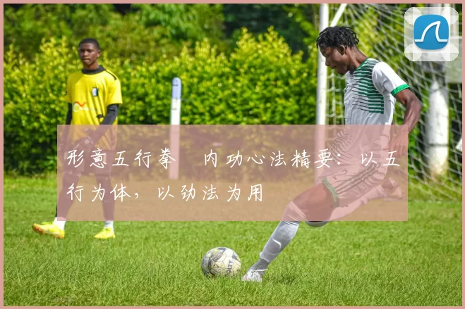 形意五行拳・内功心法精要：以五行为体，以劲法为用