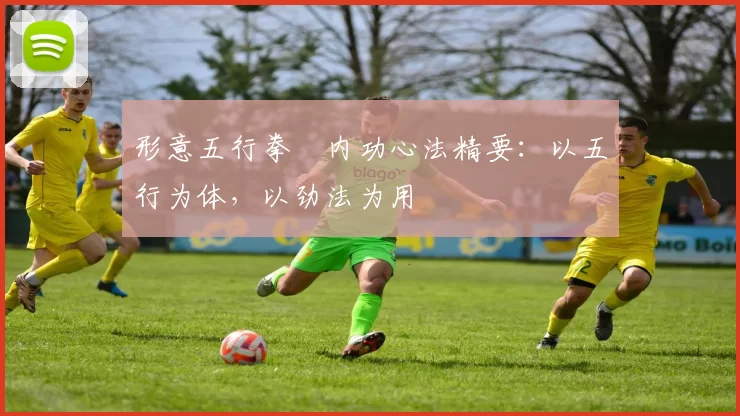 形意五行拳・内功心法精要：以五行为体，以劲法为用