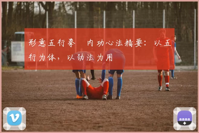 形意五行拳・内功心法精要：以五行为体，以劲法为用