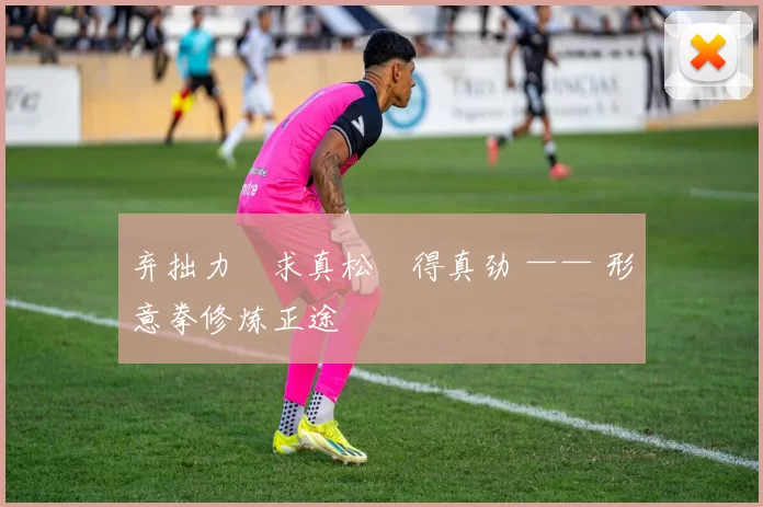 弃拙力・求真松・得真劲 —— 形意拳修炼正途