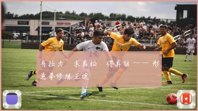 弃拙力・求真松・得真劲 —— 形意拳修炼正途