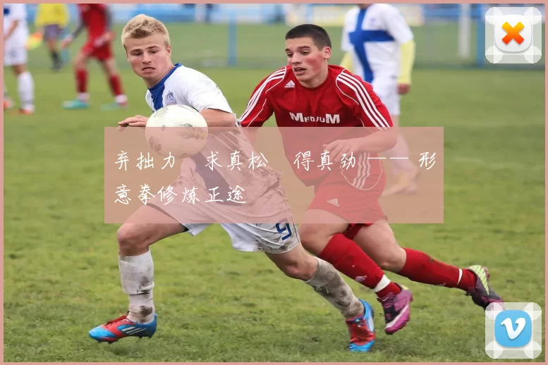 弃拙力・求真松・得真劲 —— 形意拳修炼正途