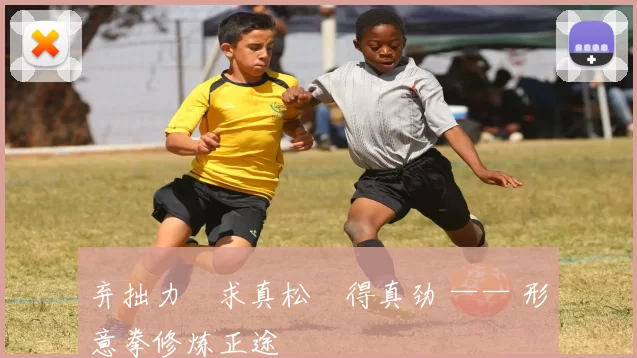 弃拙力・求真松・得真劲 —— 形意拳修炼正途