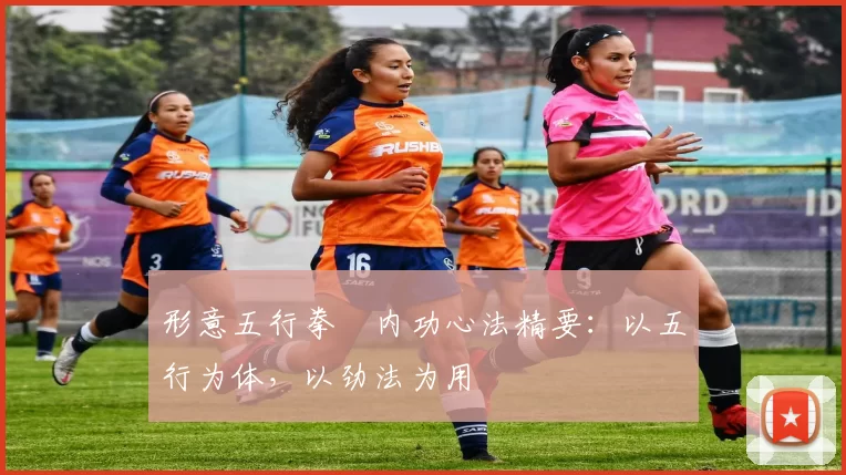 形意五行拳・内功心法精要:以五行为体,以劲法为用