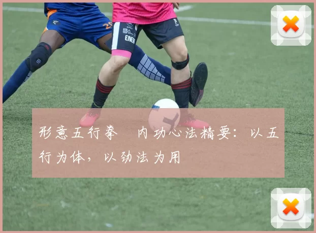 形意五行拳・内功心法精要：以五行为体，以劲法为用