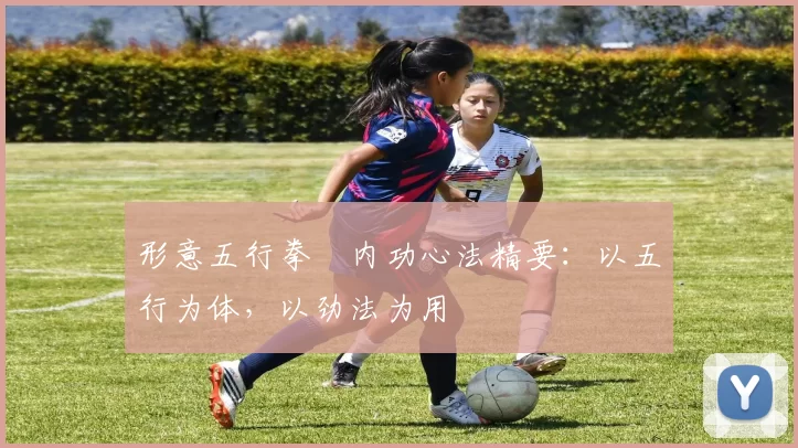 形意五行拳・内功心法精要：以五行为体，以劲法为用