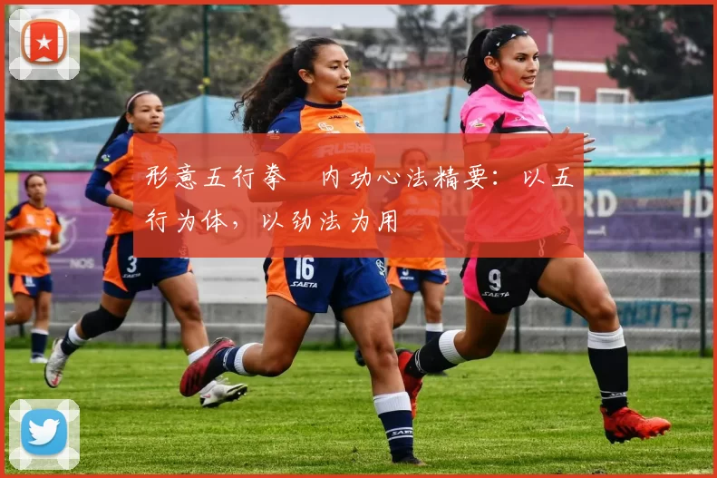 形意五行拳・内功心法精要：以五行为体，以劲法为用