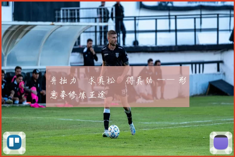 弃拙力・求真松・得真劲 —— 形意拳修炼正途