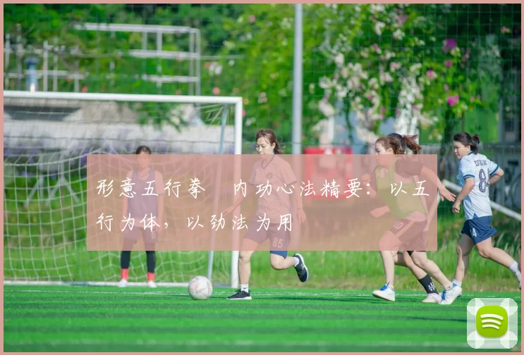 形意五行拳・内功心法精要:以五行为体,以劲法为用