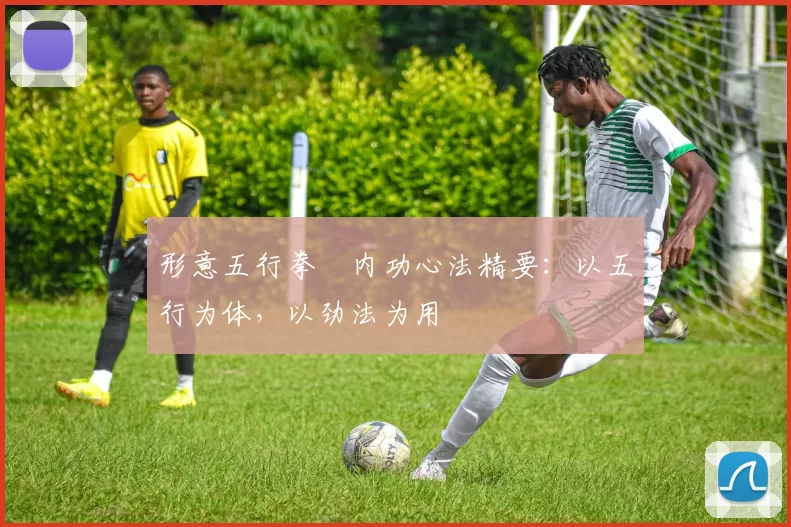 形意五行拳・内功心法精要：以五行为体，以劲法为用