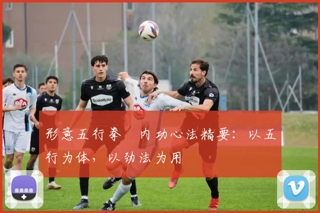 形意五行拳・内功心法精要:以五行为体,以劲法为用