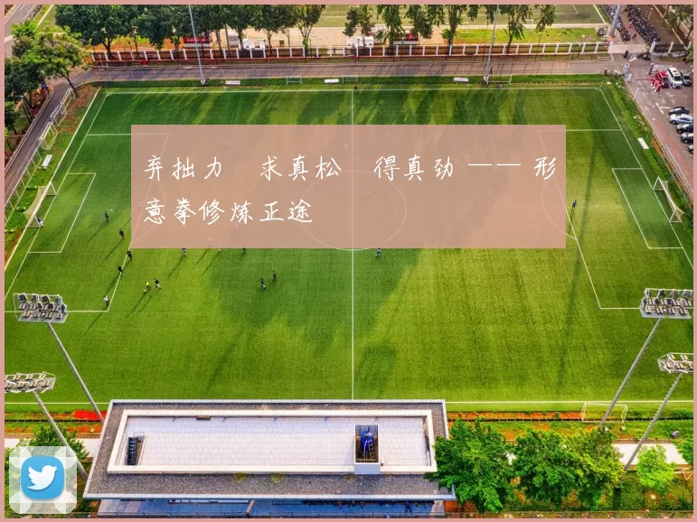 弃拙力・求真松・得真劲 —— 形意拳修炼正途