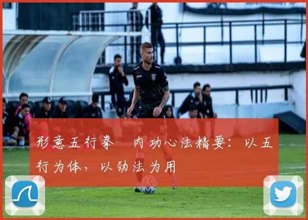 形意五行拳・内功心法精要：以五行为体，以劲法为用