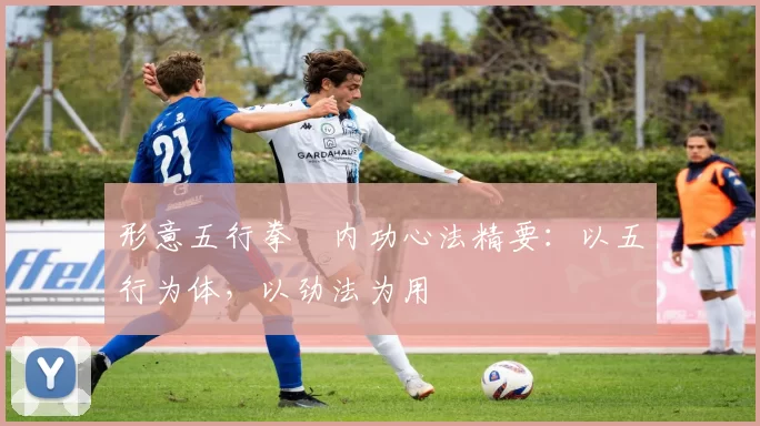 形意五行拳・内功心法精要：以五行为体，以劲法为用