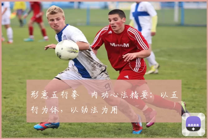 形意五行拳・内功心法精要:以五行为体,以劲法为用
