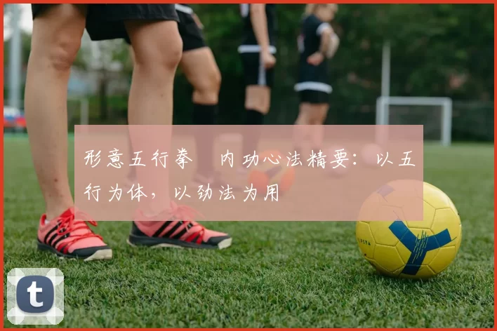 形意五行拳・内功心法精要：以五行为体，以劲法为用