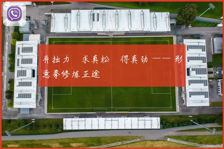 弃拙力・求真松・得真劲 —— 形意拳修炼正途