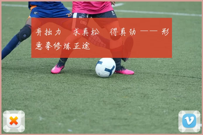 弃拙力・求真松・得真劲 —— 形意拳修炼正途