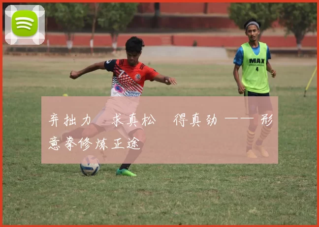 弃拙力・求真松・得真劲 —— 形意拳修炼正途