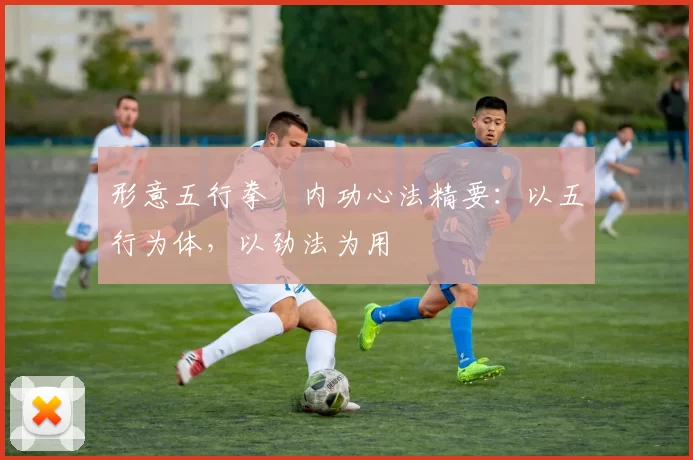 形意五行拳・内功心法精要：以五行为体，以劲法为用