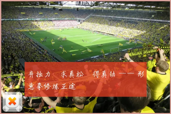 弃拙力・求真松・得真劲 —— 形意拳修炼正途