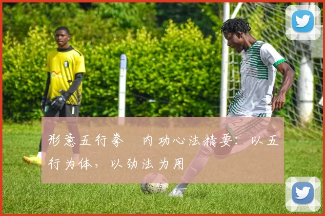 形意五行拳・内功心法精要：以五行为体，以劲法为用