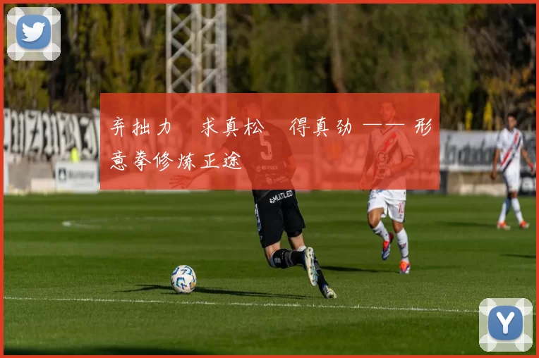 弃拙力・求真松・得真劲 —— 形意拳修炼正途