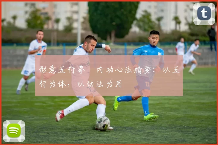 形意五行拳・内功心法精要：以五行为体，以劲法为用