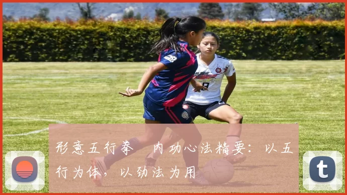 形意五行拳・内功心法精要：以五行为体，以劲法为用