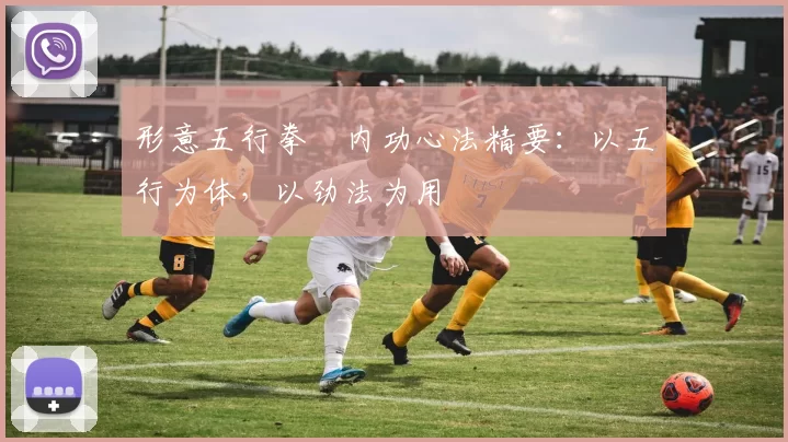 形意五行拳・内功心法精要：以五行为体，以劲法为用