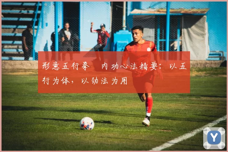 形意五行拳・内功心法精要:以五行为体,以劲法为用