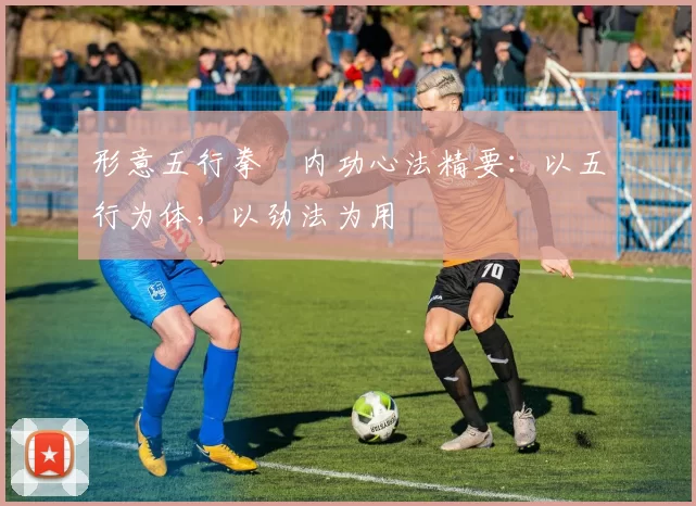 形意五行拳・内功心法精要：以五行为体，以劲法为用