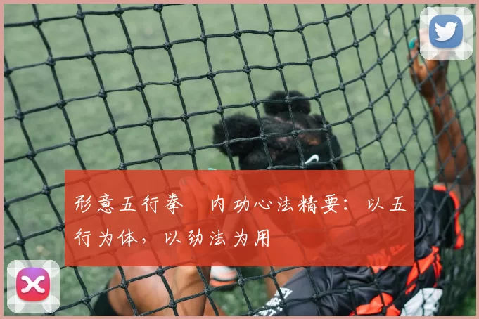 形意五行拳・内功心法精要：以五行为体，以劲法为用